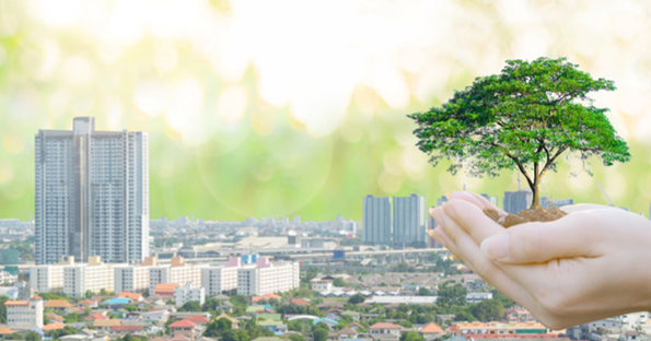 Sustainable Construction