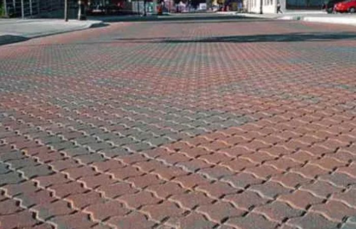 Interlocking Paver Blocks